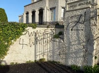  The knuckle draggers in Cylch yr Iaith