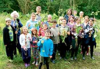 Balsam bashing!
