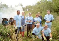 Woodland management -  team-building style!