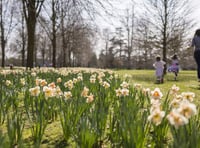 Easter egg hunts and springtime adventures with the National Trust