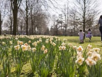 Easter egg hunts and springtime adventures with the National Trust