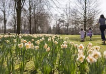 Easter egg hunts and springtime adventures with the National Trust