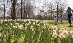 Easter egg hunts and springtime adventures with the National Trust