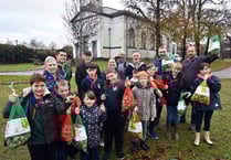 Cubs plant for a spring spectacular