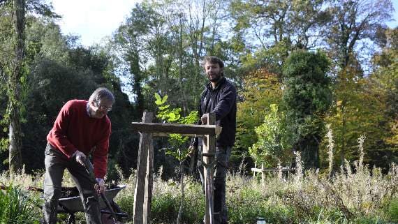 Restoration work continues at Stackpole’s historic rose garden | tenby ...