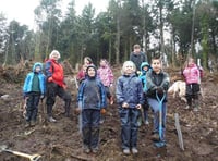 National Trust and Cub Scouts team up for mass tree planting