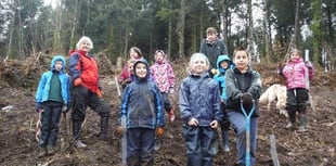 National Trust and Cub Scouts team up for mass tree planting
