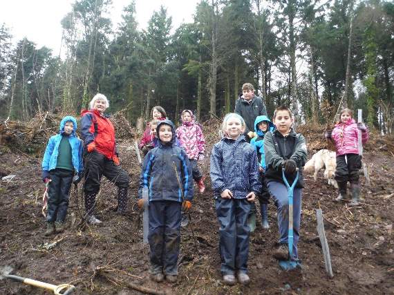 National Trust and Cub Scouts team up for mass tree planting