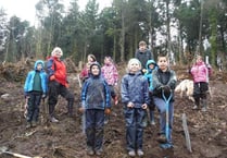 National Trust and Cub Scouts team up for mass tree planting