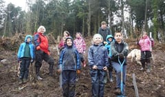 National Trust and Cub Scouts team up for mass tree planting