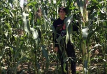 Daniel missing the rain as it’s not so chilly in Chile