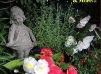 Garden Party and Summer Extravaganza