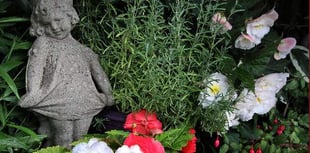 Garden Party and Summer Extravaganza