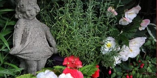 Garden Party and Summer Extravaganza