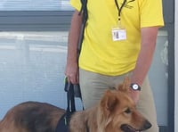 Caring canines enrich patients’ lives