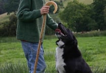 Straws in the Wind - a rural miscellany compiled by Meyrick Brown