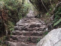 Volunteer teacher Daniel scales the heights... of Machu Picchu!
