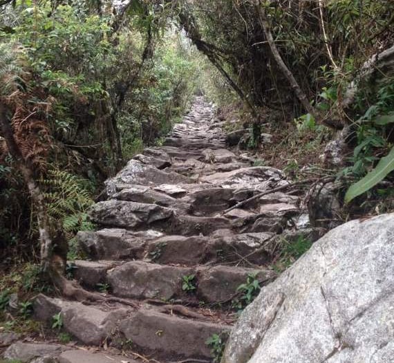 Volunteer teacher Daniel scales the heights... of Machu Picchu!
