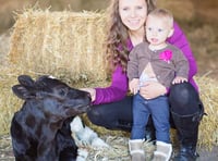 County Show aims to provide more family fun