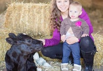 County Show aims to provide more family fun