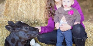 County Show aims to provide more family fun