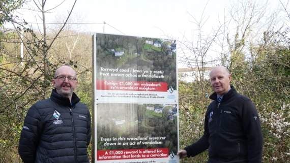 Illegal felling of protected trees highlighted by Park Authority signs ...