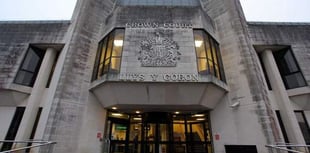 Carmarthenshire Council prosecutes unlicensed dog-breeders