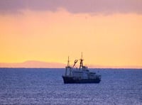 'Patricia' awakens local interest in Tenby