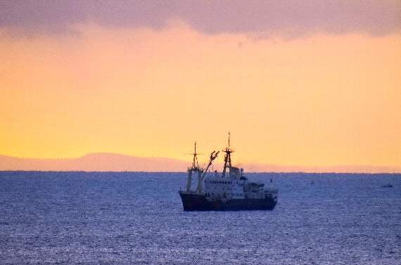 'Patricia' awakens local interest in Tenby