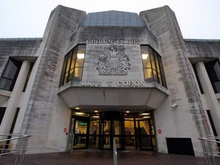 Illegal puppy farmer jailed