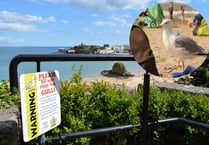 Could Tenby's dive-bombing gulls be 'drugged-up and drunk'