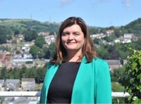 Plaid Cymru slam Labour hypocrisy on two child cap policy