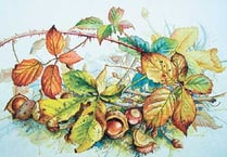 Frances Payne’s ‘Woodland and Wayside’ at Colby Gallery