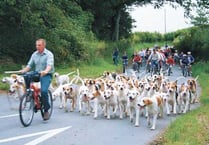 South Pembrokeshire Hunt Pony Club news