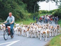 South Pembrokeshire Hunt Pony Club news