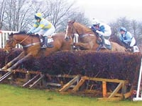 New season of point to point racing
