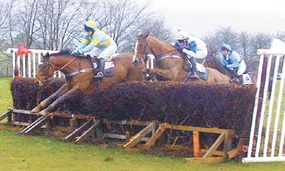 New season of point to point racing