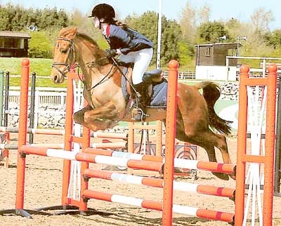South Pembrokeshire Hunt Pony Club news