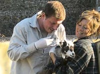 Anna’s Welsh Zoo