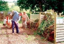 News from Compost Corner