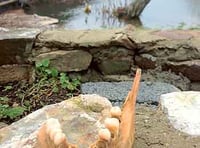 Police investigate ‘gruesome’ discovery