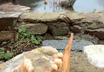 Police investigate ‘gruesome’ discovery