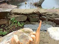 Police investigate ‘gruesome’ discovery