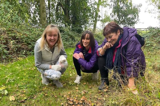Field Studies Council campaign aims to keep adults connected to nature through learning