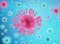 Day centres across Pembrokeshire close their doors