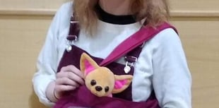 Paw-ditions for dogs to play a part in Saundersfoot Footlights production