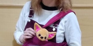 Paw-ditions for dogs to play a part in Saundersfoot Footlights production