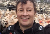 Warning to dog owners after 80 livestock worrying reports are received