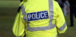 Police investigate shoplifting and assault allegation