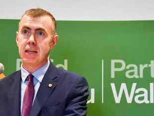 Plaid Cymru must 'detoxify' following damning report